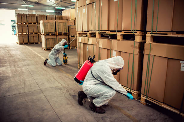 Best Emergency Pest Control  in Moriarty, NM