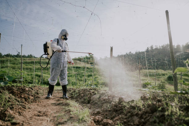 Best Pest Removal Services  in Moriarty, NM