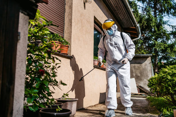 Best Cockroach Control Services  in Moriarty, NM