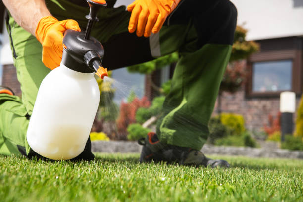 Best Commercial Pest Control Services  in Moriarty, NM