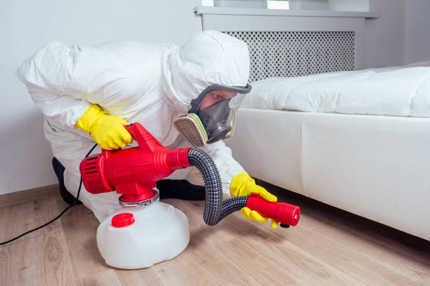 Best Wasp Removal Services  in Moriarty, NM