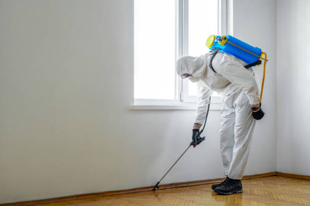 Pest Prevention Services in Moriarty, NM