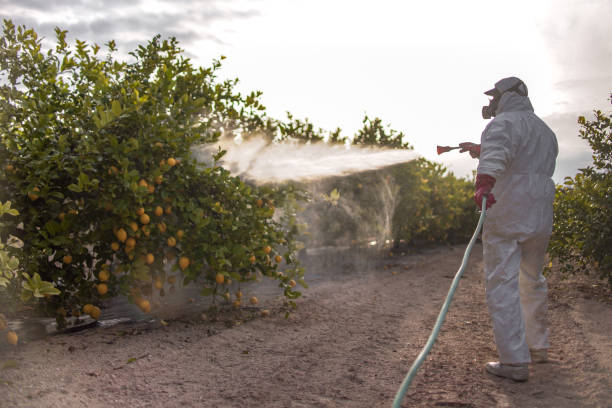 Best Residential Pest Control  in Moriarty, NM