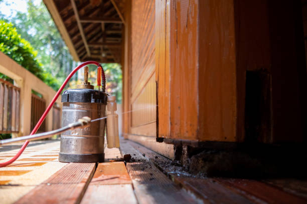 Best Exterminator Services  in Moriarty, NM