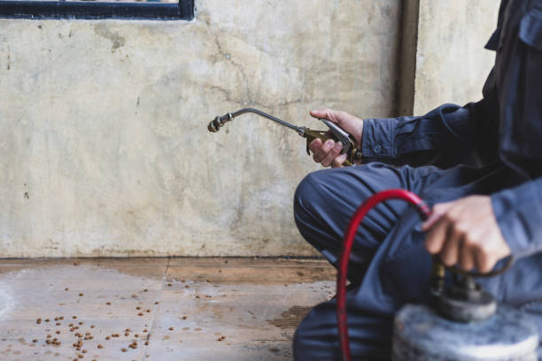 Reliable Moriarty, NM Pest Control Solutions
